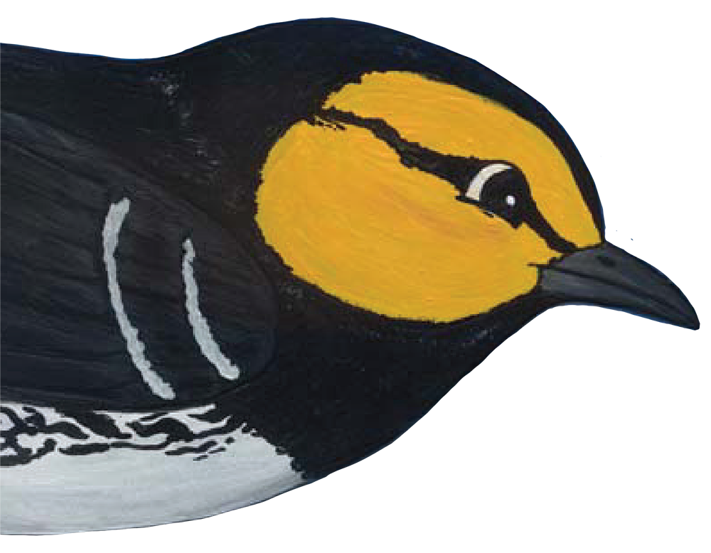 Tale of Chipilo Tale of Chipilo